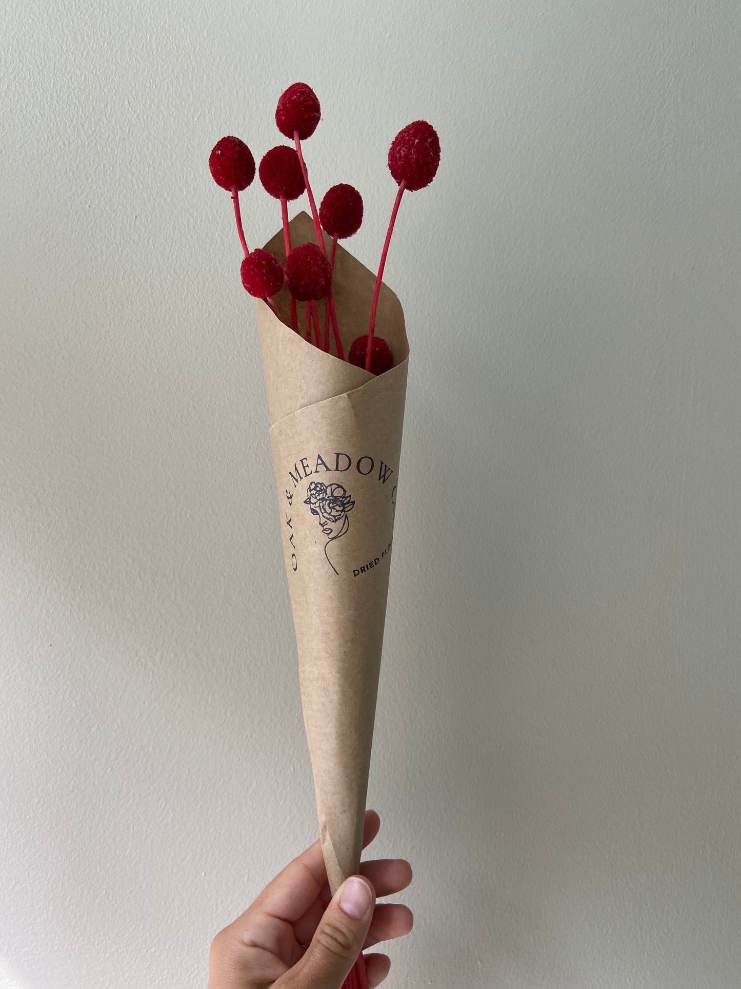 Billy Buttons