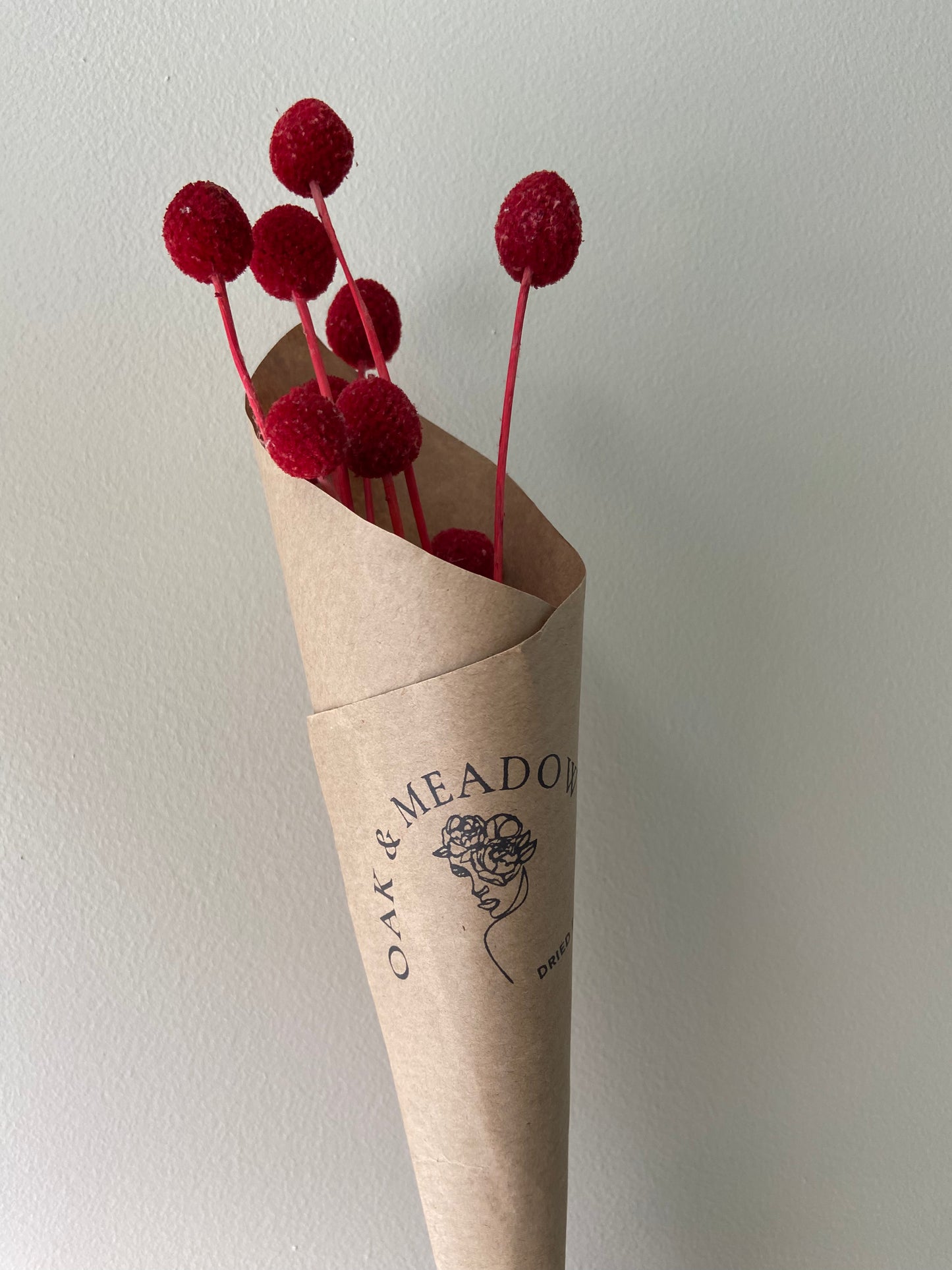 Billy Buttons