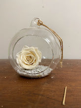 Preserved Rose