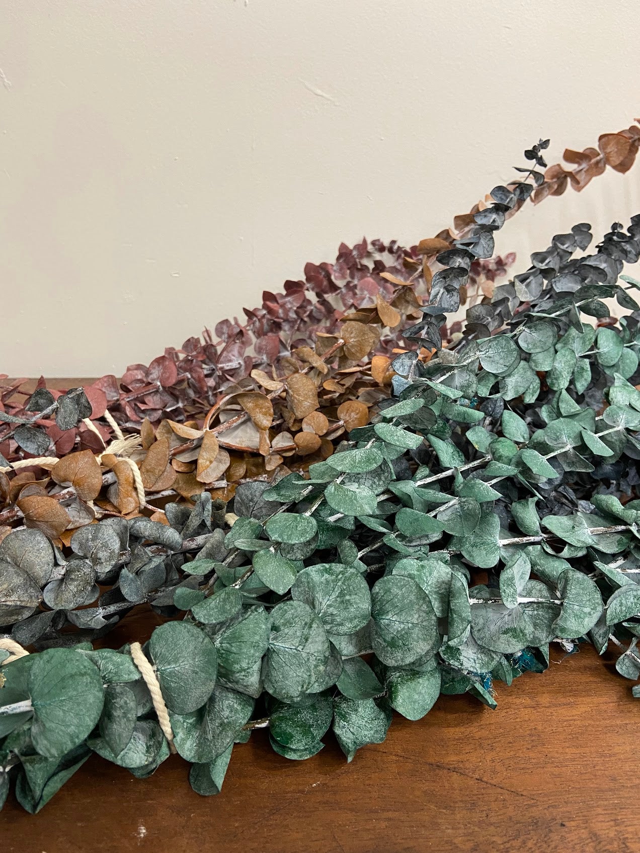 Eucalyptus