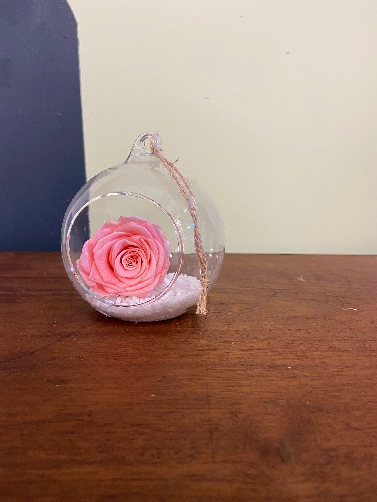 Preserved Rose