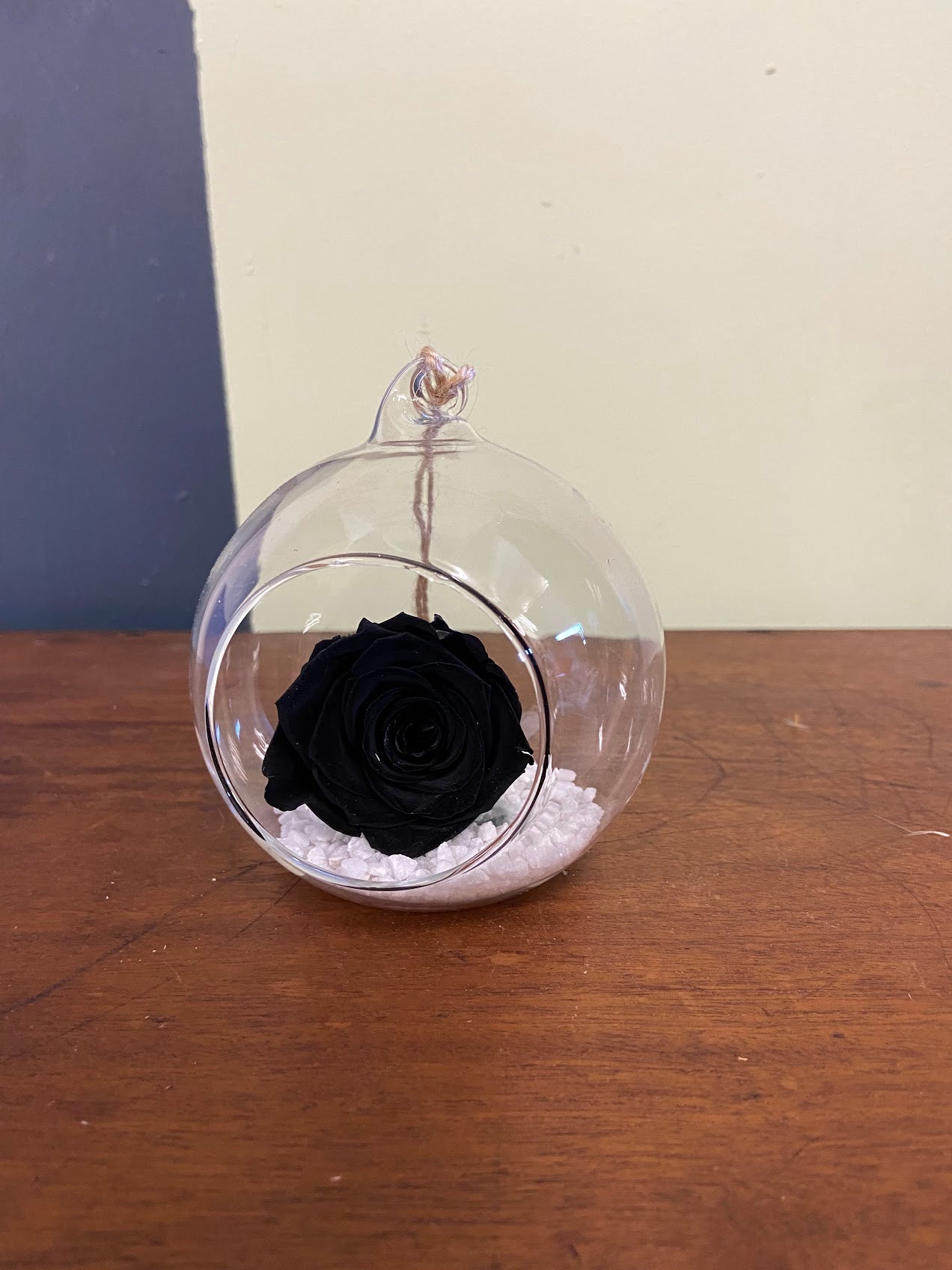Preserved Rose