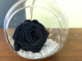 Preserved Rose