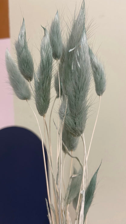 Bunny Tails