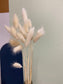 Bunny Tails