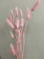 Bunny Tails