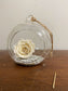 Preserved Rose