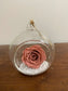 Preserved Rose