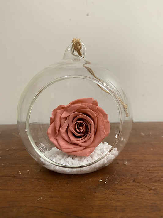 Preserved Rose