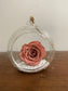 Preserved Rose